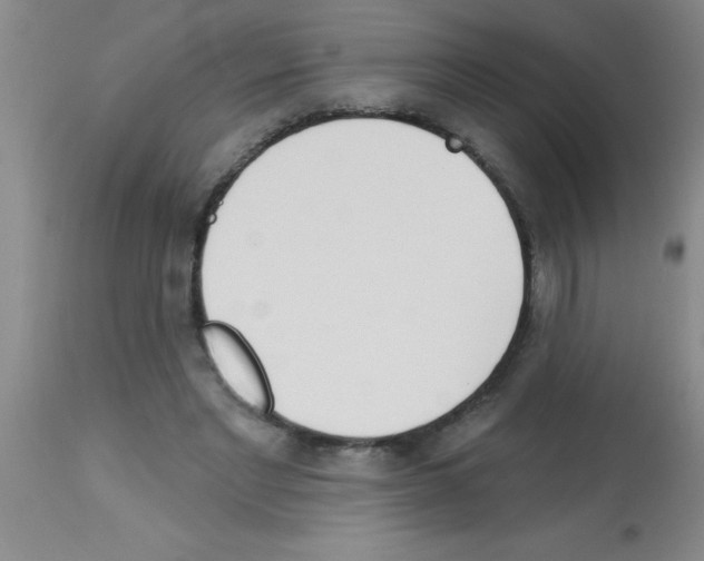 X0000113130493200910161136