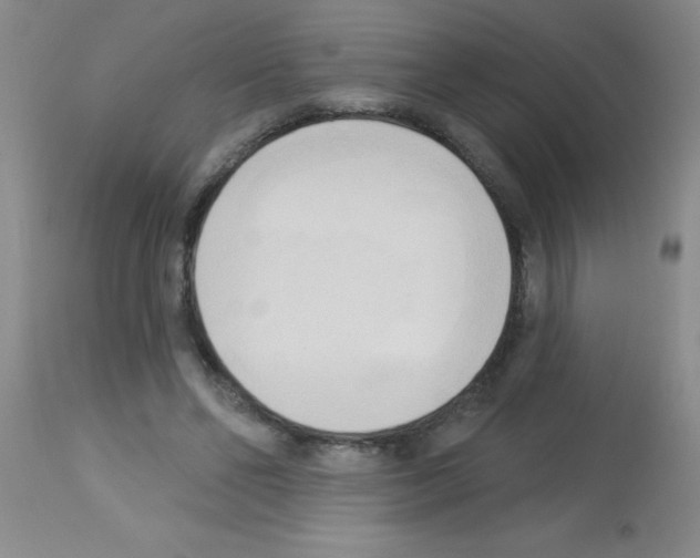 X0000113130494200910161136