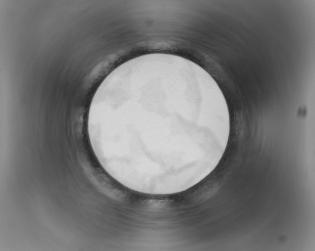X0000113130495200910161136