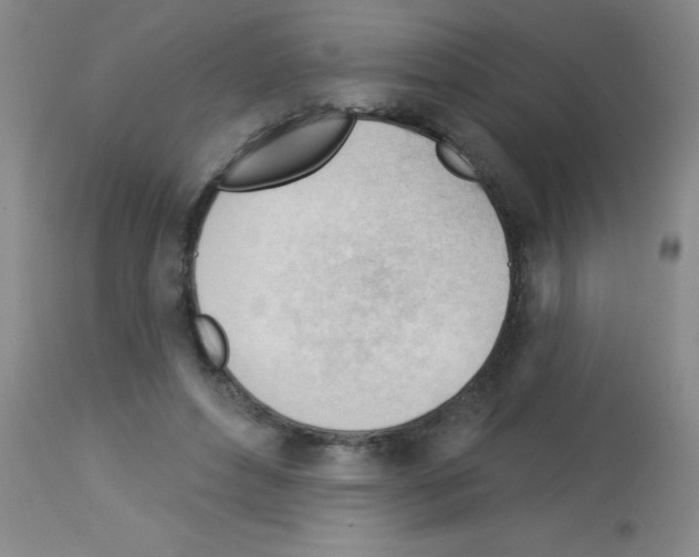 X0000113130496200910161136