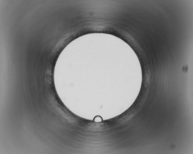 X0000113130497200910161136