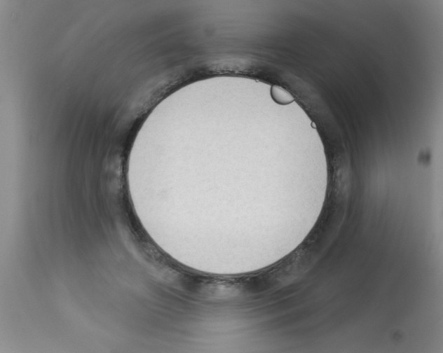 X0000113130498200910161136