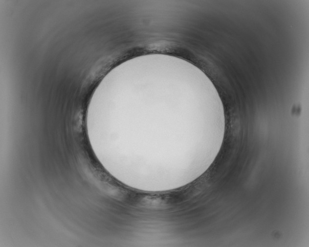 X0000113130502200910161136