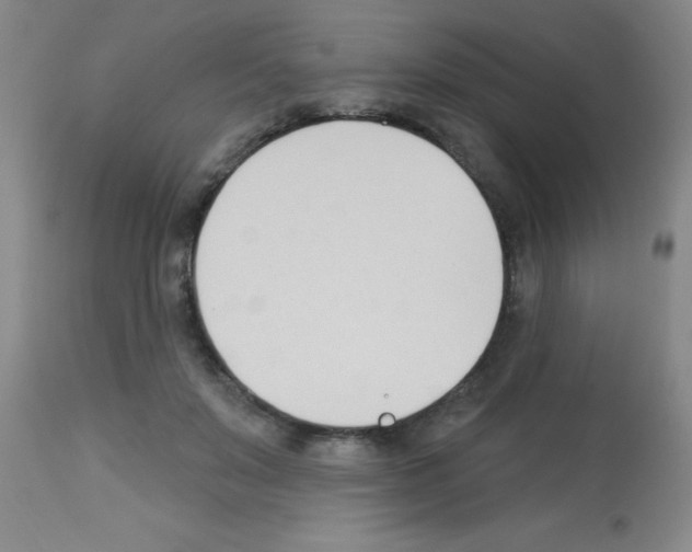X0000113130503200910161136