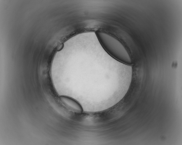 X0000113130504200910161136