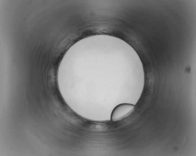 X0000113130506200910161136