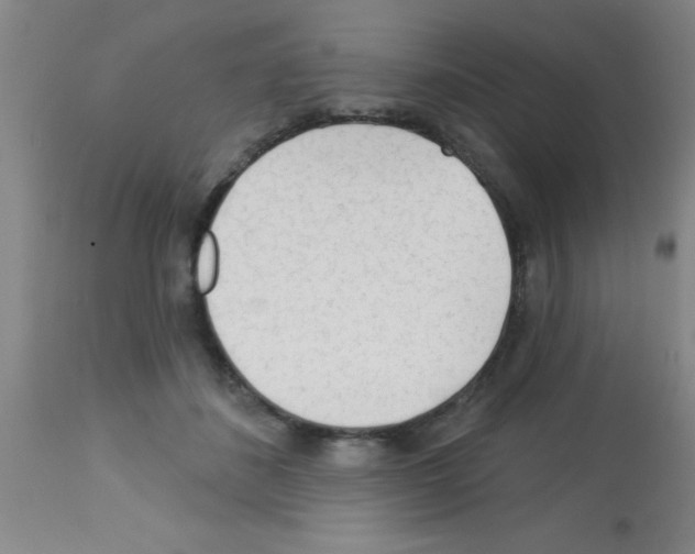 X0000113130508200910161136