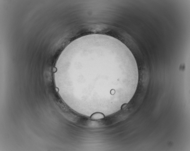 X0000113130510200910161135