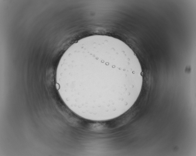 X0000113130511200910161135