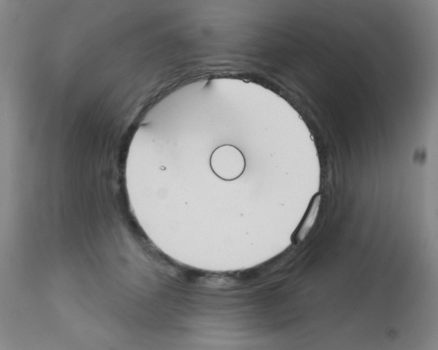X0000113130512200910161135