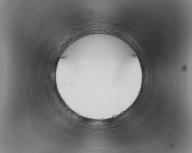 X0000113130513200910161135