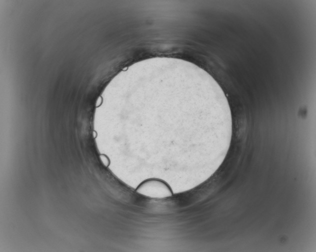 X0000113130515200910161135