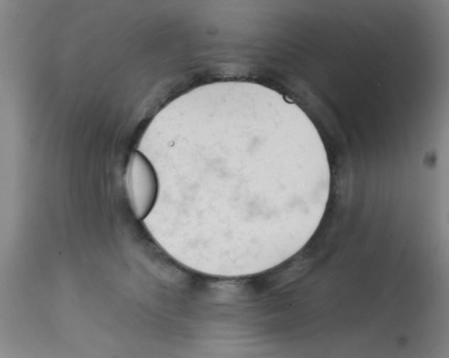 X0000113130516200910161135