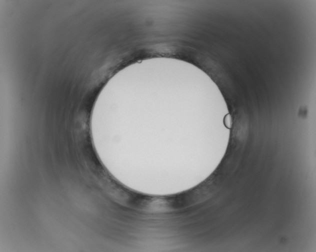 X0000113130518200910161135