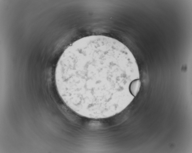 X0000113130519200910161135