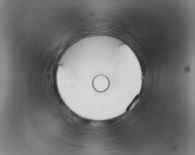 X0000113130520200910161135