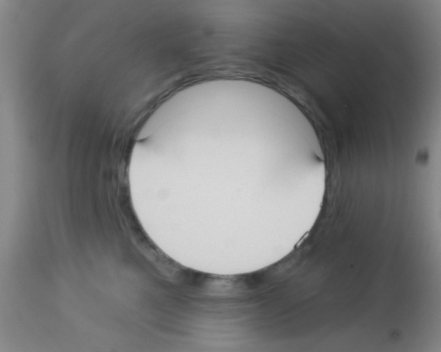 X0000113130521200910161135