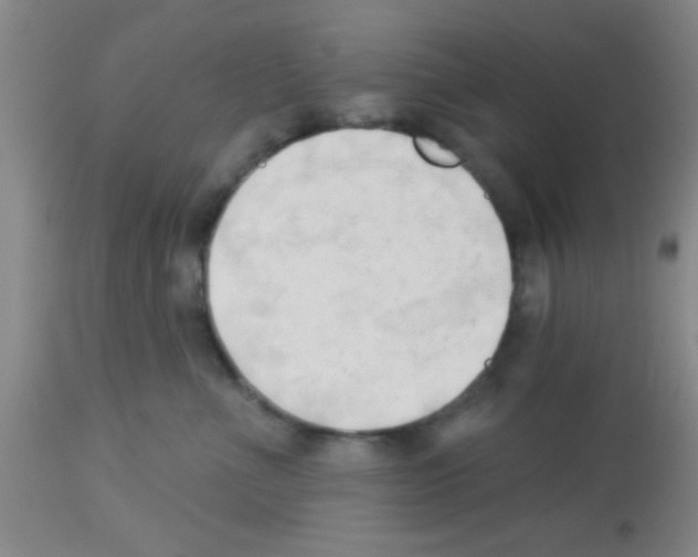 X0000113130523200910161135