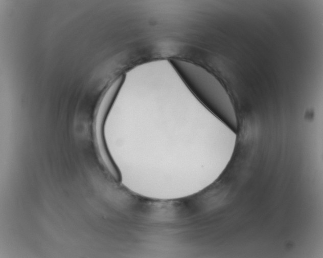 X0000113130524200910161135