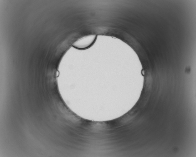 X0000113130525200910161135