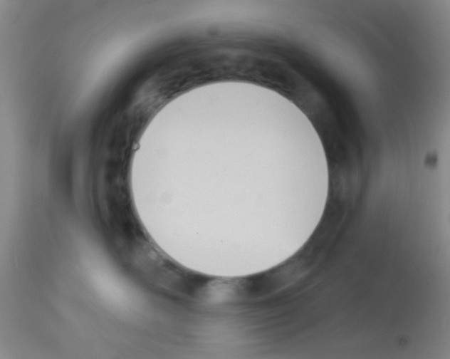 X0000113130526200910161135