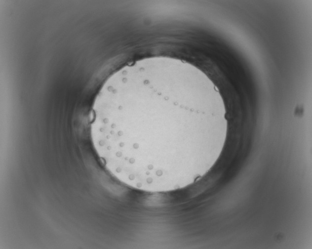 X0000113130527200910161135