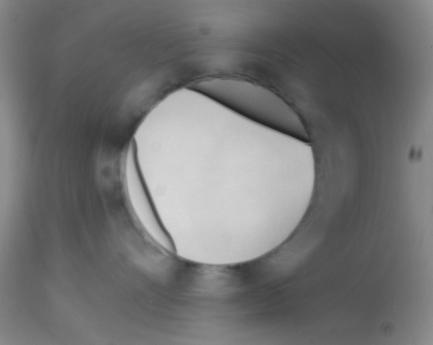 X0000113130528200910161135