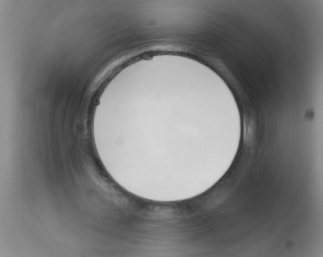X0000113130531200910161134
