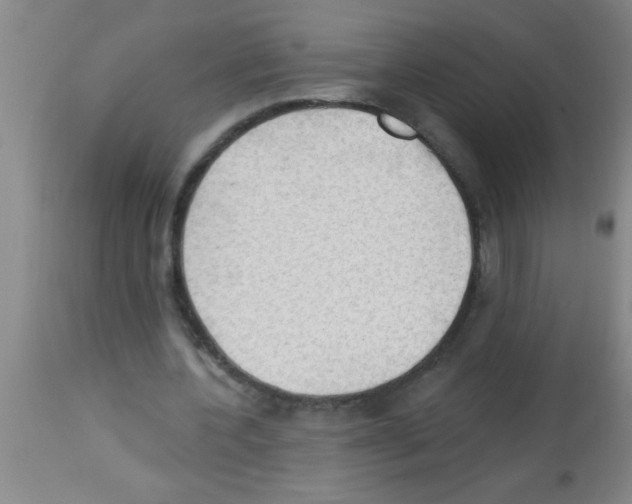 X0000113130532200910161134
