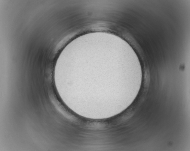 X0000113130533200910161134