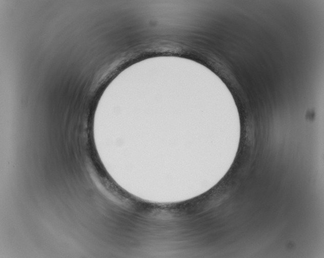 X0000113130538200910161135