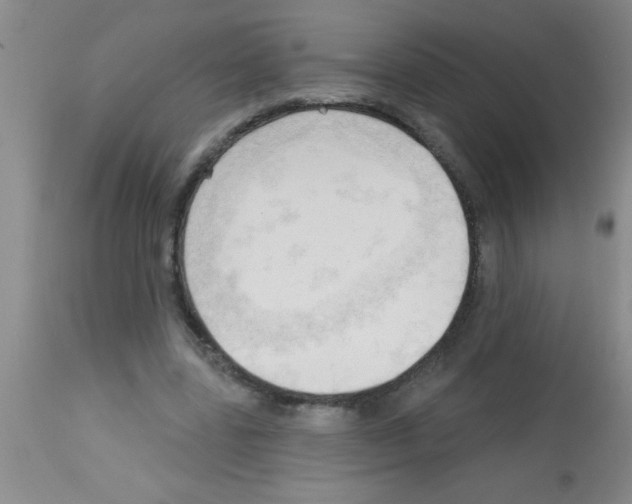 X0000113130539200910161135