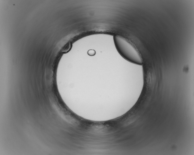 X0000113130540200910161135