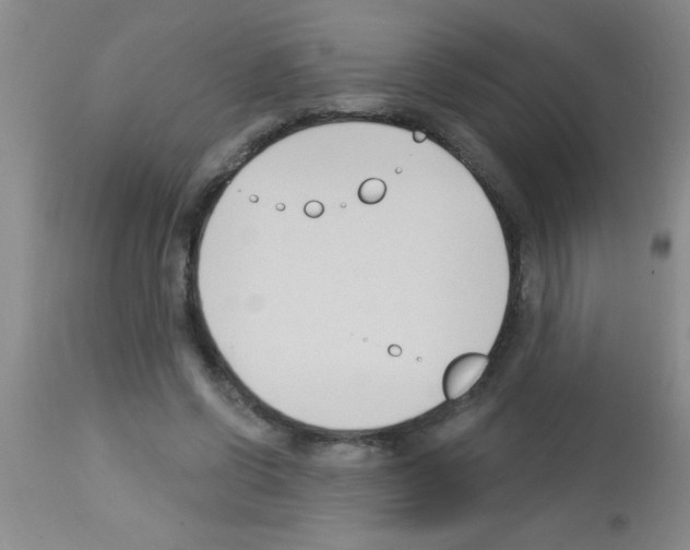 X0000113130542200910161135