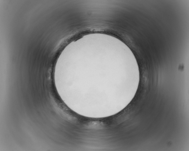 X0000113130543200910161135