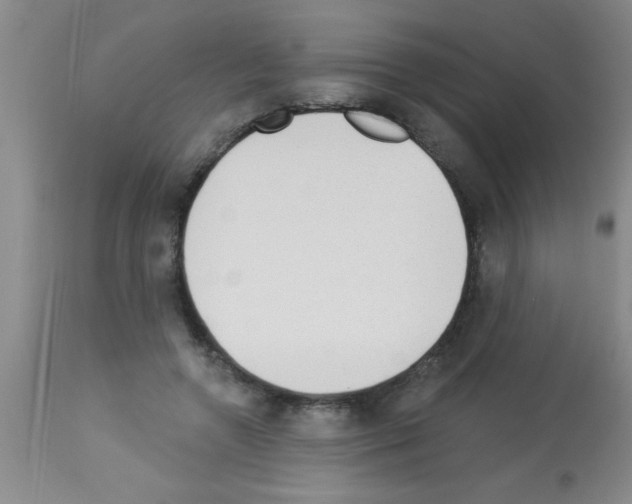 X0000113130546200910161135