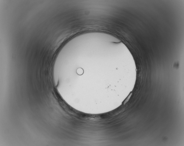 X0000113130548200910161135