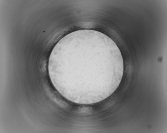X0000113130549200910161135