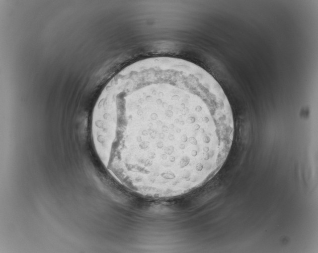 X0000113130550200910161135