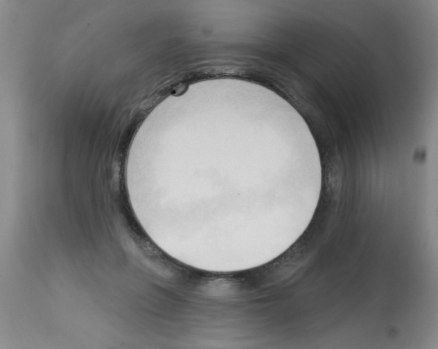 X0000113130551200910161135