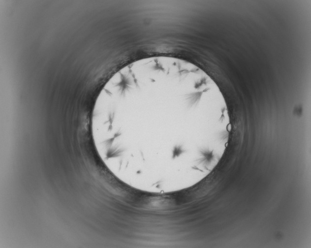 X0000113130555200910161135