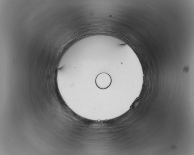 X0000113130556200910161135