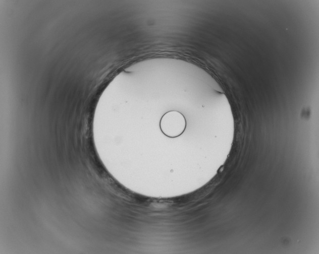 X0000113130560200910161135