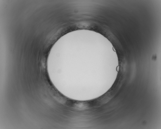 X0000113130561200910161135