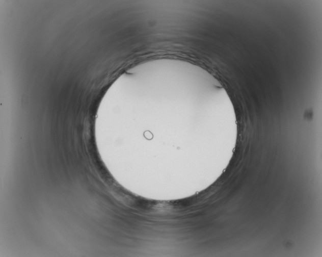 X0000113130562200910161135