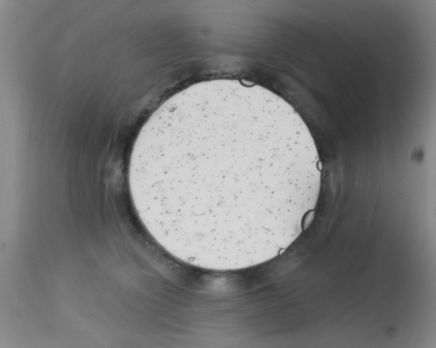 X0000113130564200910161135