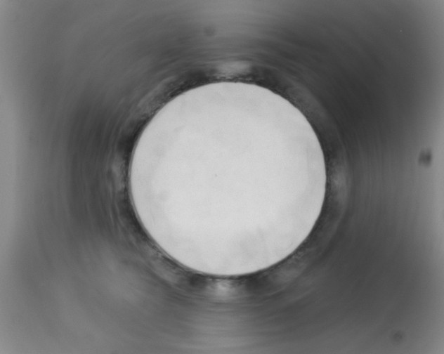 X0000113130565200910161135