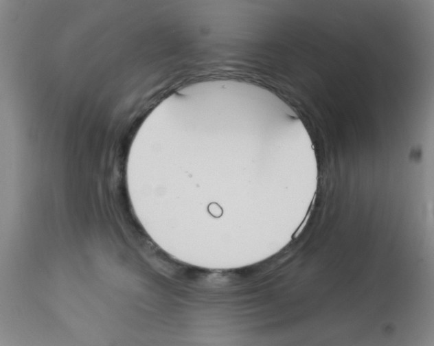 X0000113130566200910161135