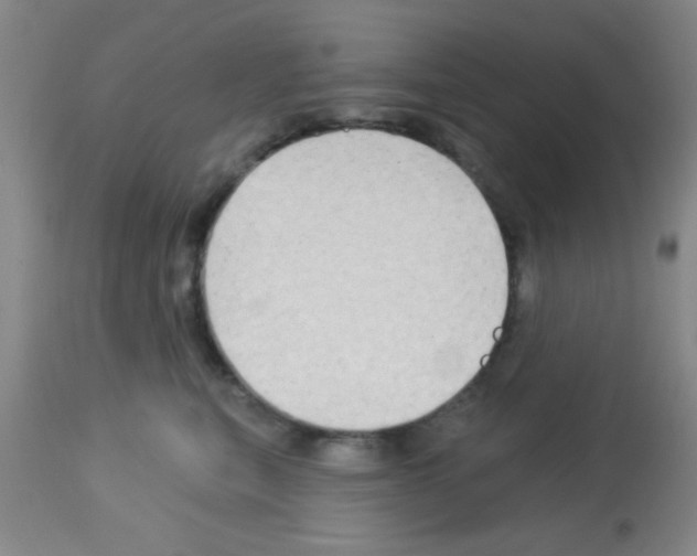 X0000113130567200910161135