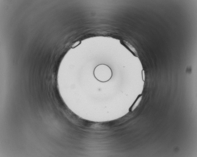 X0000113130568200910161135